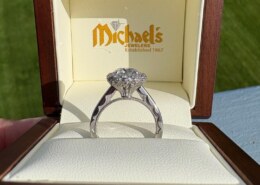 She chose it, making my task a breeze!