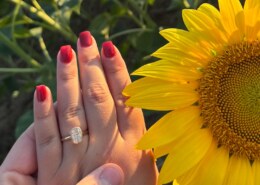 It’s as if we possess our own section of the universe.