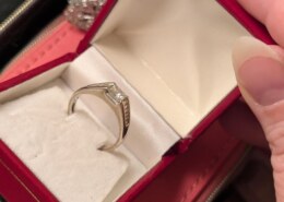 Perhaps you all can assist me in understanding this ring better…