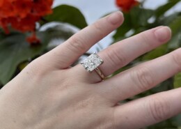 At last, I’m able to share my own! 🥹