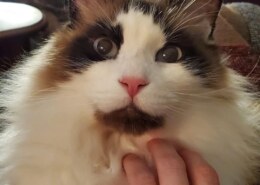 Can we take a moment of silence for my ring?