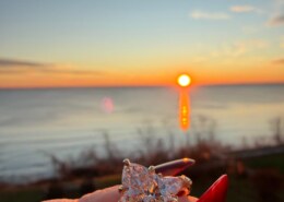 The moment we’ve all been waiting for has arrived!