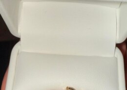 I accepted a proposal on a cruise!