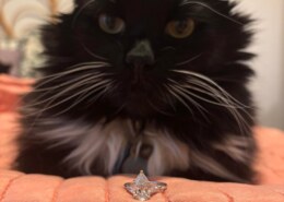 I can’t fathom that this is occurring.