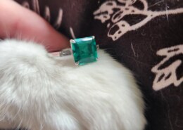 I’ve joined the club! No more lurking :) (with Archie and his adorable paws)