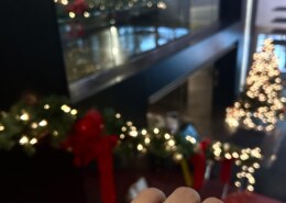 Joyful and Luminous This Year!!