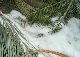 I never expected this to happen to me!