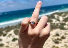 Proposed on New Year’s Day with Sea Lions as Witnesses 🦭